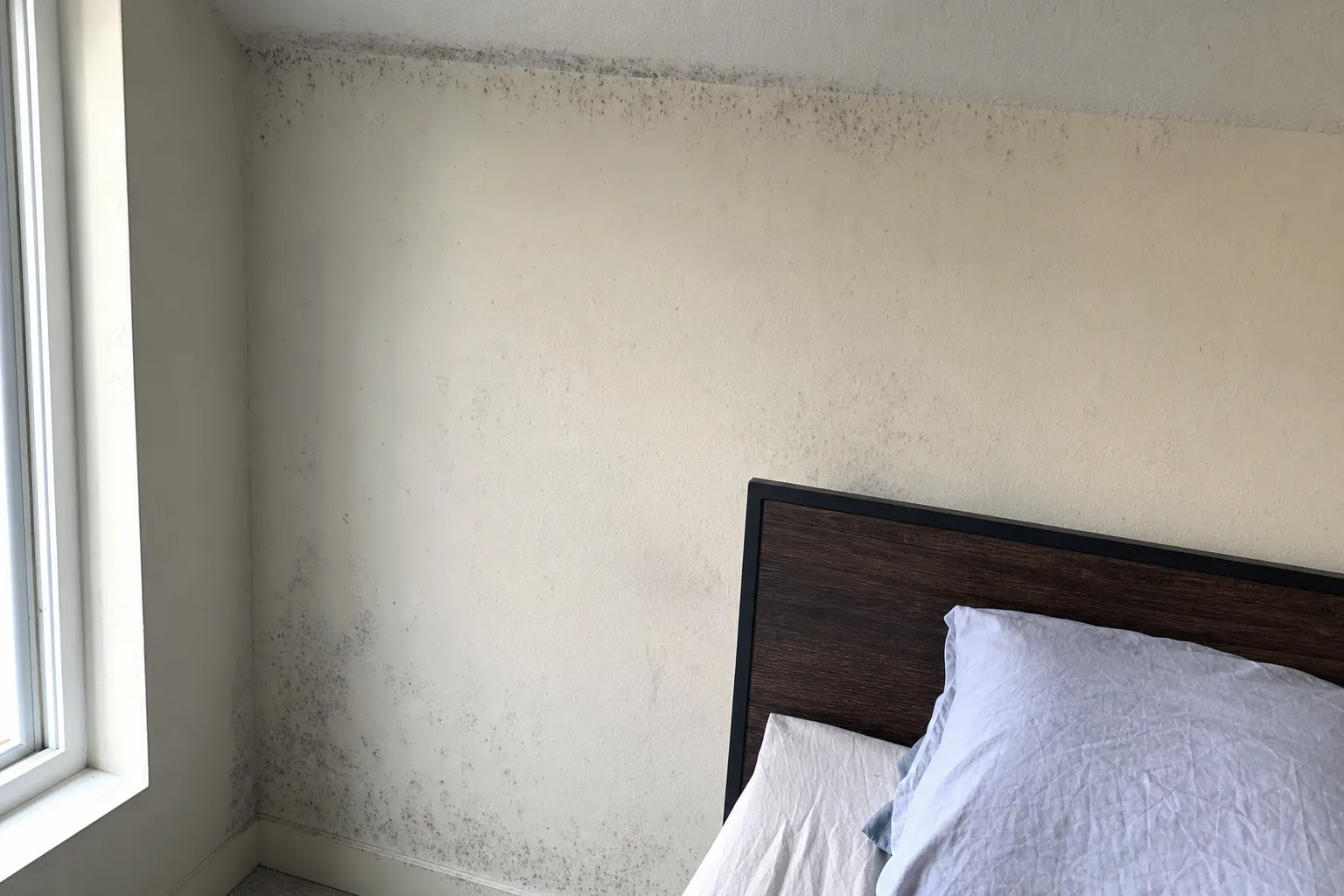 Faint mold spotting on a bedroom wall documented during a York County home mold inspection prompted by a health concern.