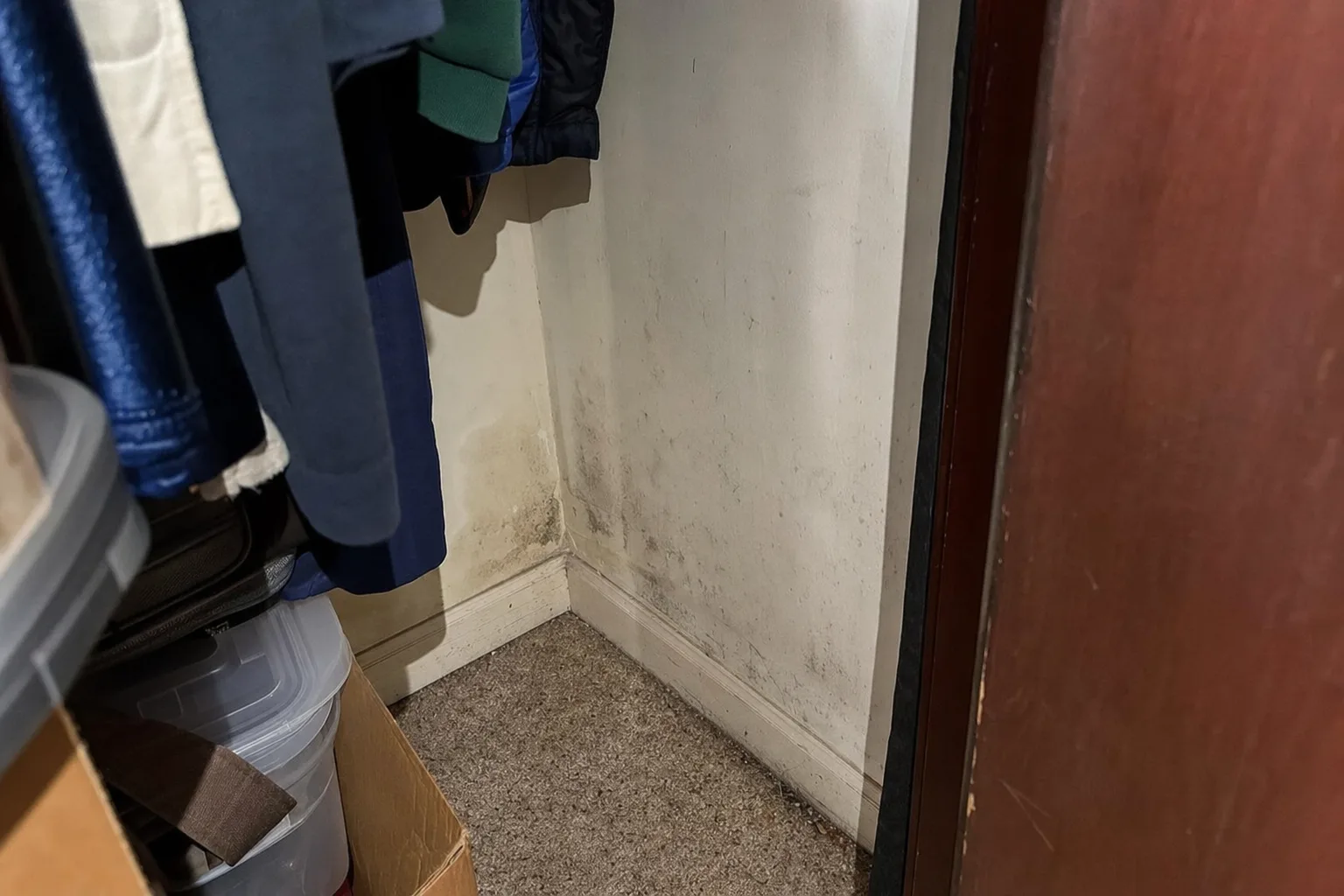 Closet interior with faint surface mildew and water staining low on the drywall near the floor in an older home.